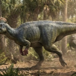 Koutalisaurus pictures