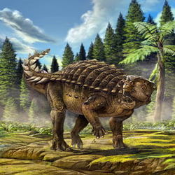 Kunbarrasaurus pictures