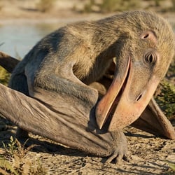 Lacusovagus pictures