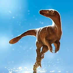 Latenivenatrix pictures