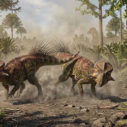 Liaoceratops pictures