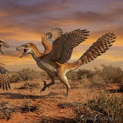 Linheraptor pictures