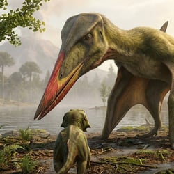 Linlongopterus pictures