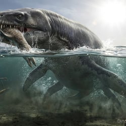 Liopleurodon pictures