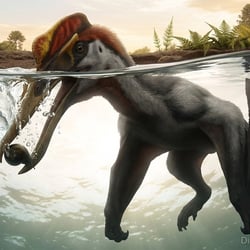 Lonchognathosaurus pictures
