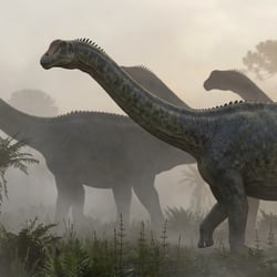 Lourinhasaurus pictures
