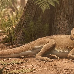 Lutungutali pictures