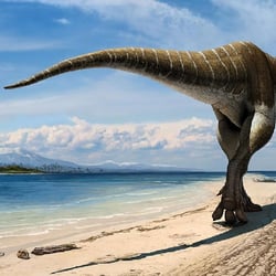 Lythronax pictures