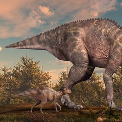Maiasaura pictures