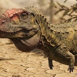 Majungasaurus pictures