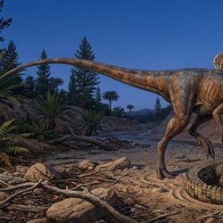 Masiakasaurus pictures