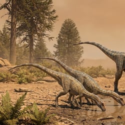 Megapnosaurus pictures