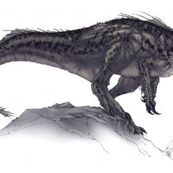 Megaraptor pictures