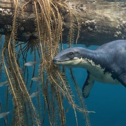 Meyerasaurus pictures