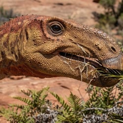 Microhadrosaurus pictures