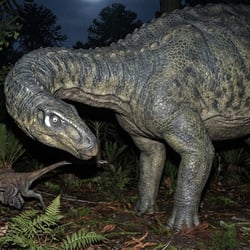 Mongolosaurus pictures