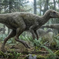 Morrosaurus pictures