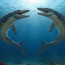 Mosasaurus pictures