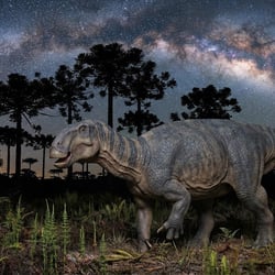 Narindasaurus pictures