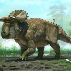 Nasutoceratops pictures