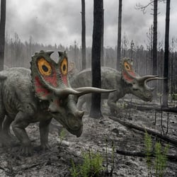 Navajoceratops pictures