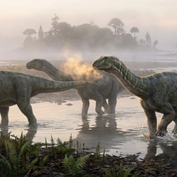 Normanniasaurus pictures