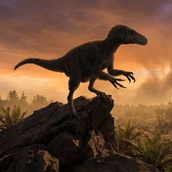 Nqwebasaurus pictures