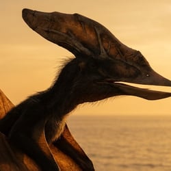 Nyctosaurus pictures