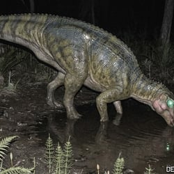 Oblitosaurus pictures