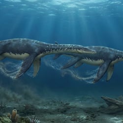 Occitanosaurus pictures