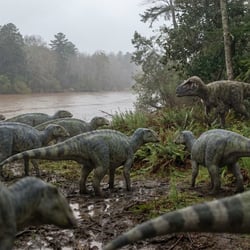 Ornithotarsus pictures