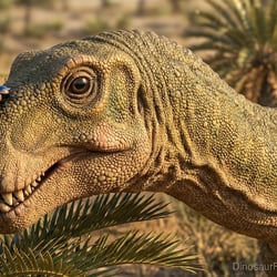 Orosaurus pictures