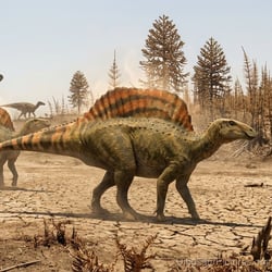 Ouranosaurus pictures