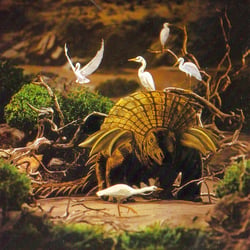 Palaeoscincus pictures