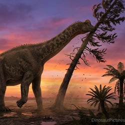 Paluxysaurus pictures