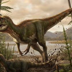 Pandoravenator pictures