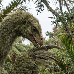 Paralitherizinosaurus pictures