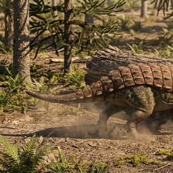 Patagopelta pictures