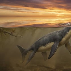 Peloneustes pictures