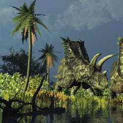 Pentaceratops pictures
