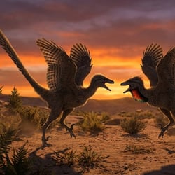 Philovenator pictures