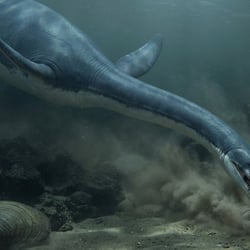 Plesioelasmosaurus pictures