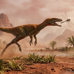 Podokesaurus pictures