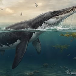 Polyptychodon pictures