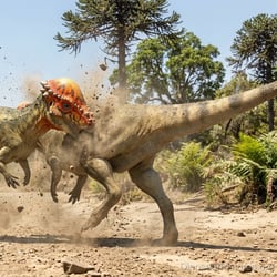 Prenocephale pictures