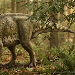 Prosaurolophus pictures