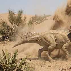 Protoceratops pictures