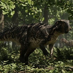 Psittacosaurus pictures