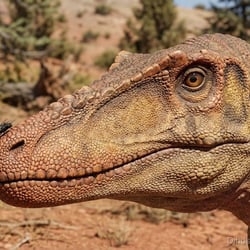 Qianzhousaurus pictures