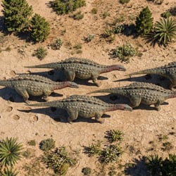 Qingxiusaurus pictures